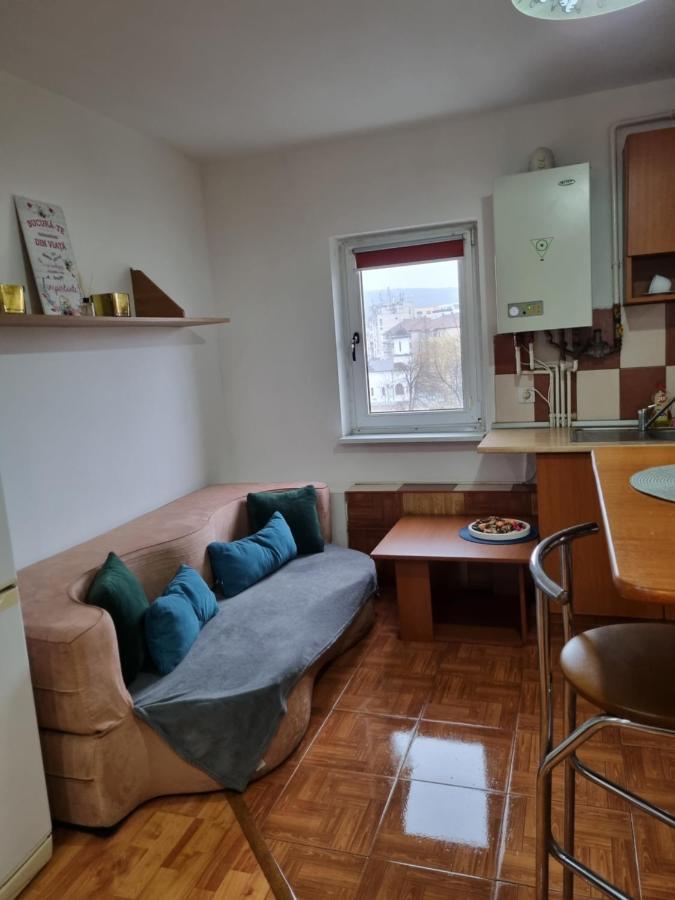 Marya'S Apartment รึมนิคูวัลเจีย ภายนอก รูปภาพ